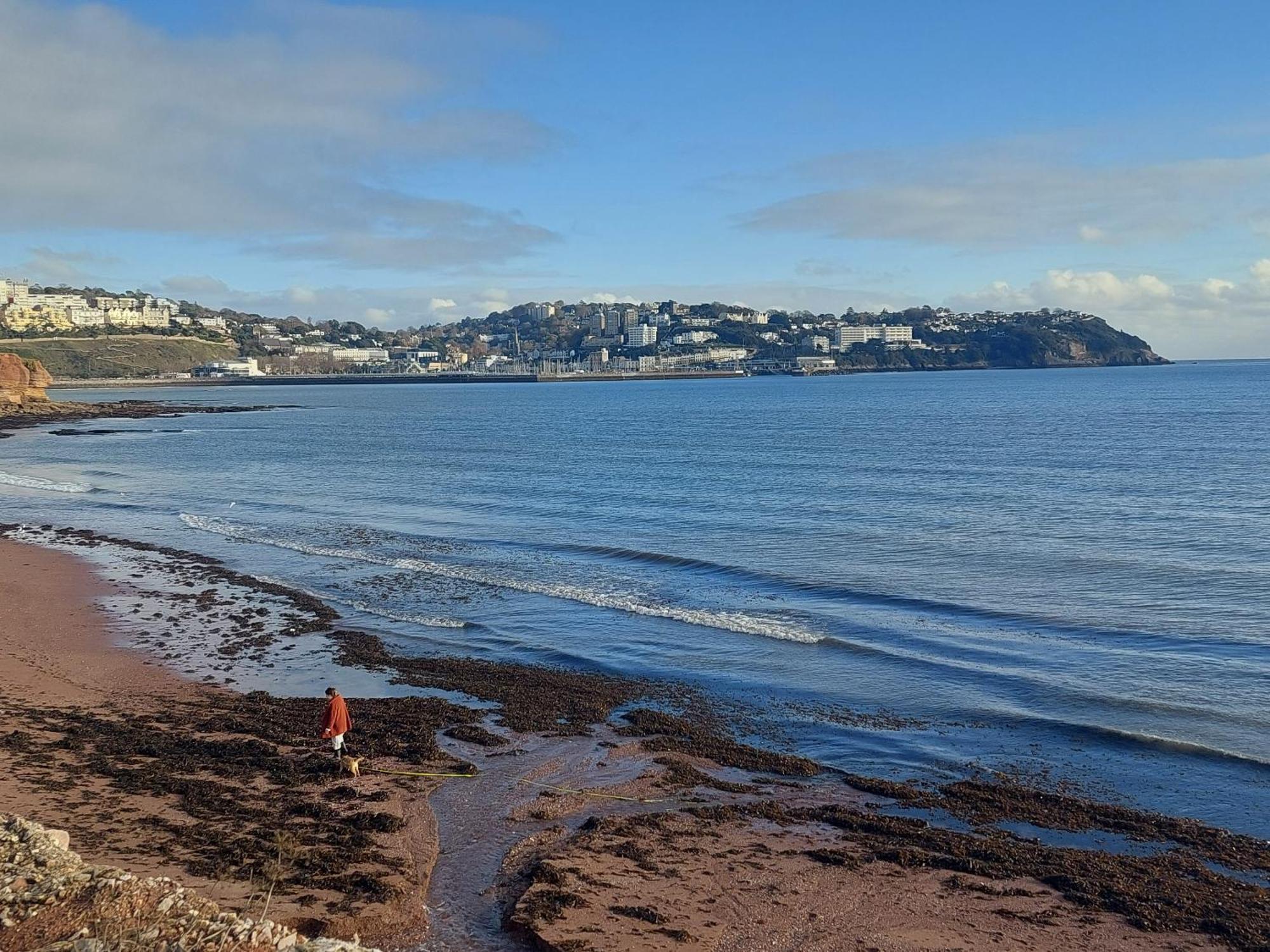 The Seaview Suites At The Corbyn Apartments Torquay Bilik gambar
